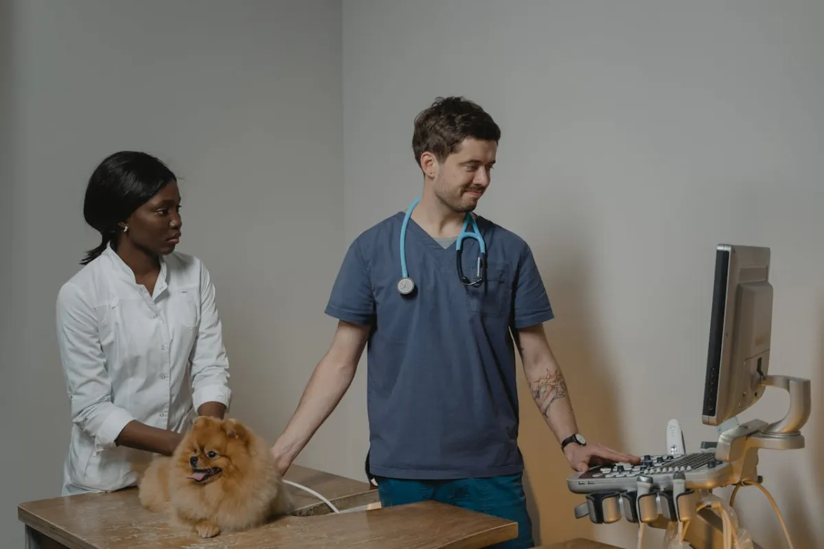 How Much Does It Cost to Spay or Neuter a Dog in Florida?