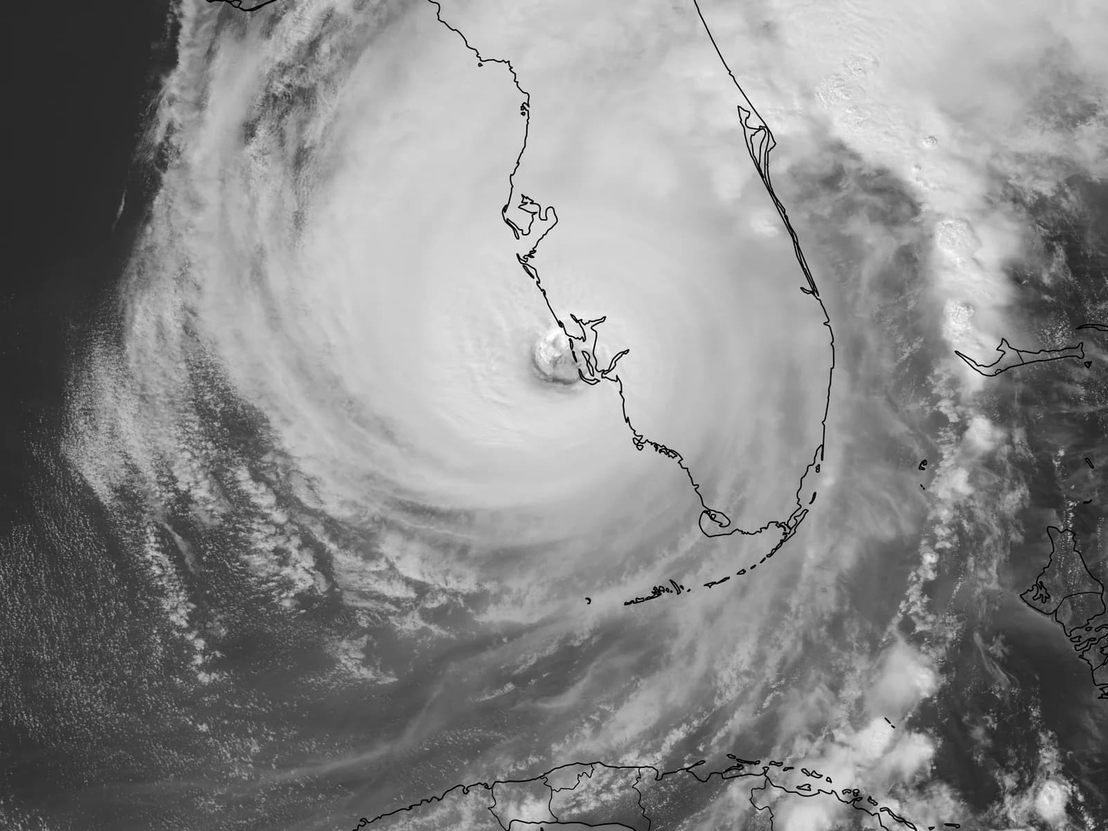 Hurricane Prep for Florida Pets: A Skyway Animal Hospital Survival Guide