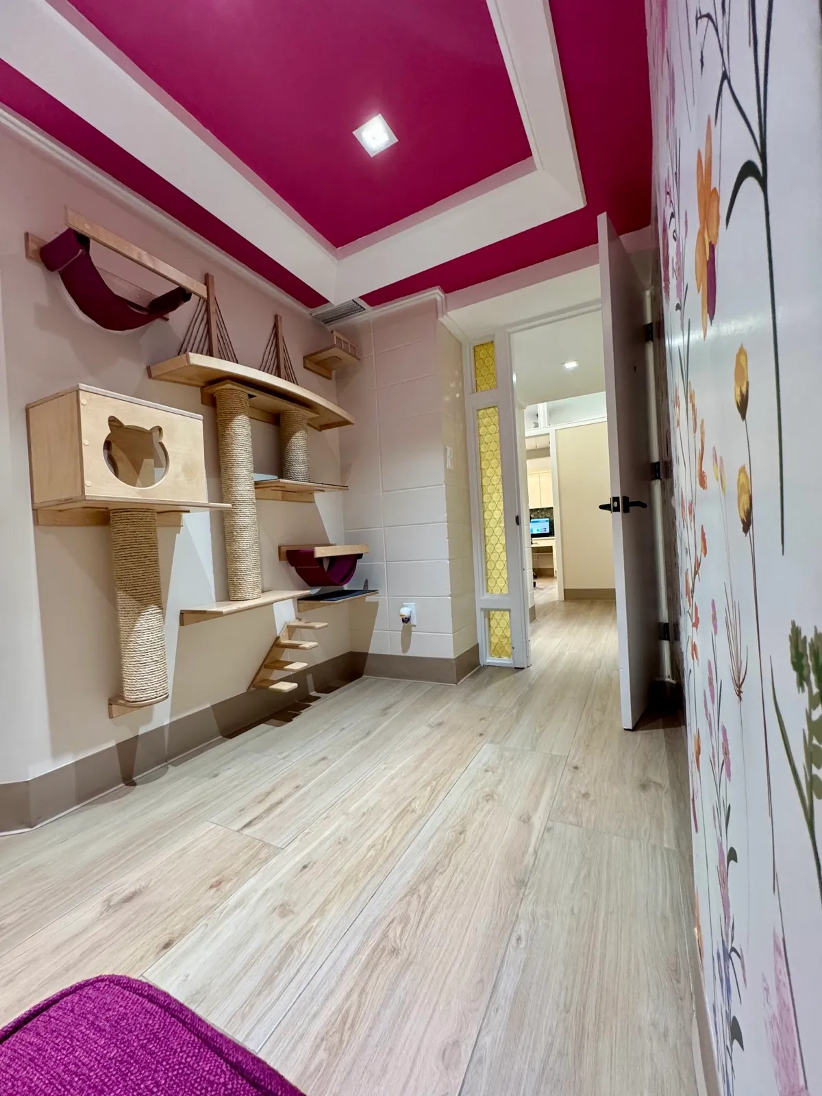 Cat-Friendly Space - Quiet, dedicated area designed to keep our feline patients calm and comfortable