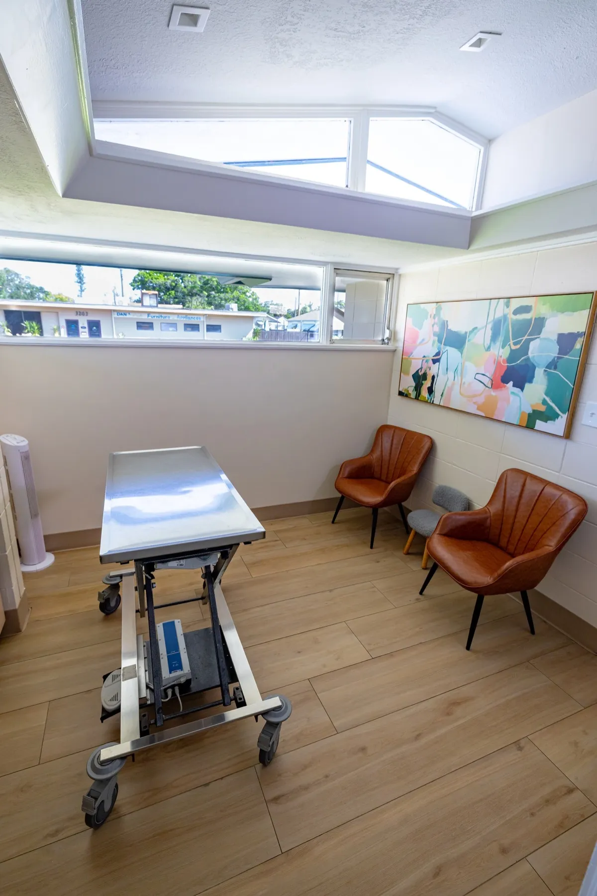 Skyway Animal Hospital exam room where dental assessments are performed