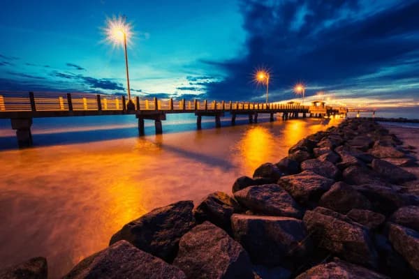 Fort De Soto Dog Beach