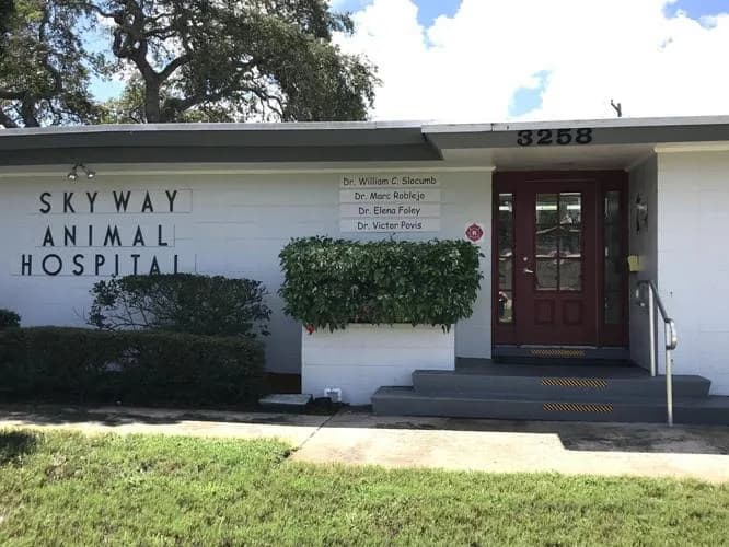 A St. Pete Landmark