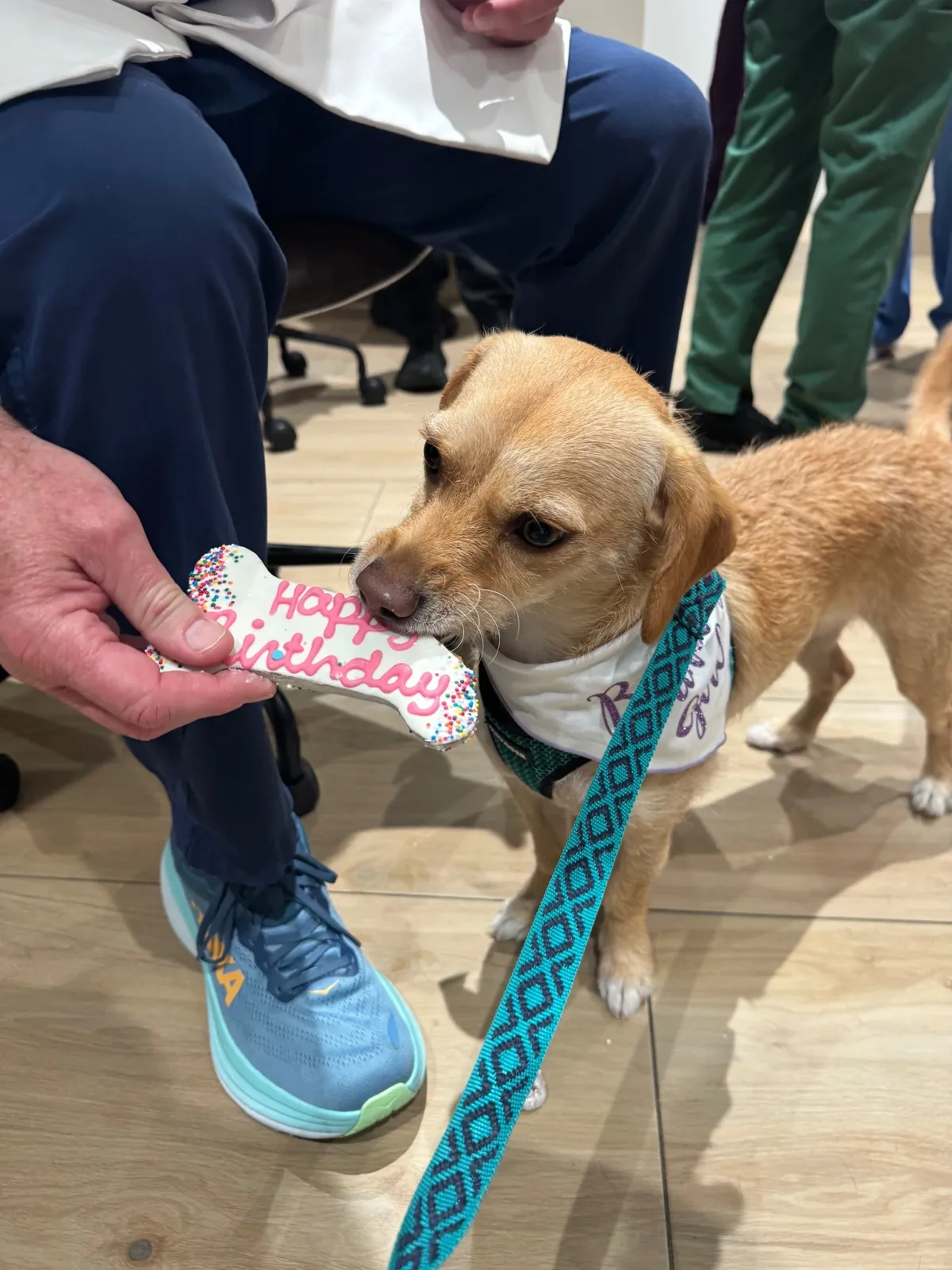 Celebrating a pet birthday at Skyway