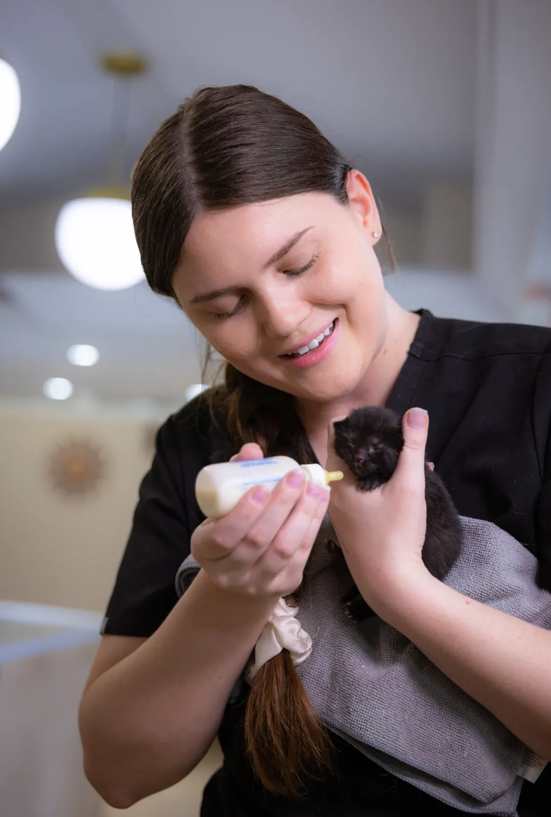 Skyway Animal Hospital team member bottle-feeding a tiny kitten