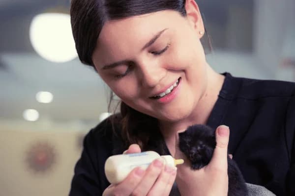 Expert veterinary care for every stage of your pet's life at Skyway Animal Hospital - showing pets from puppy to senior receiving compassionate care