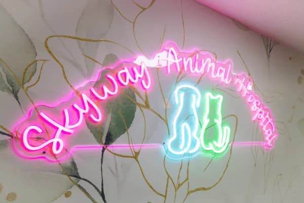 Happy pet receiving compassionate care at Skyway Animal Hospital - ready to give your pet the care they deserve