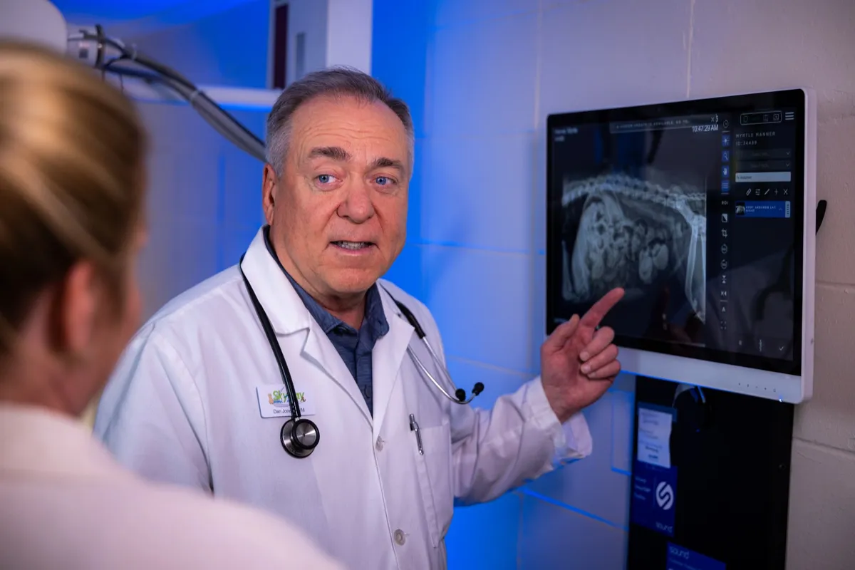 Dr. Jones reviewing digital X-rays at Skyway Animal Hospital