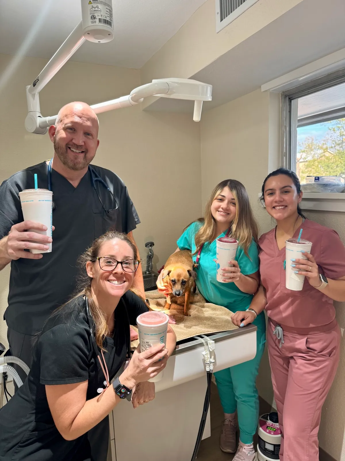 Our veterinary team