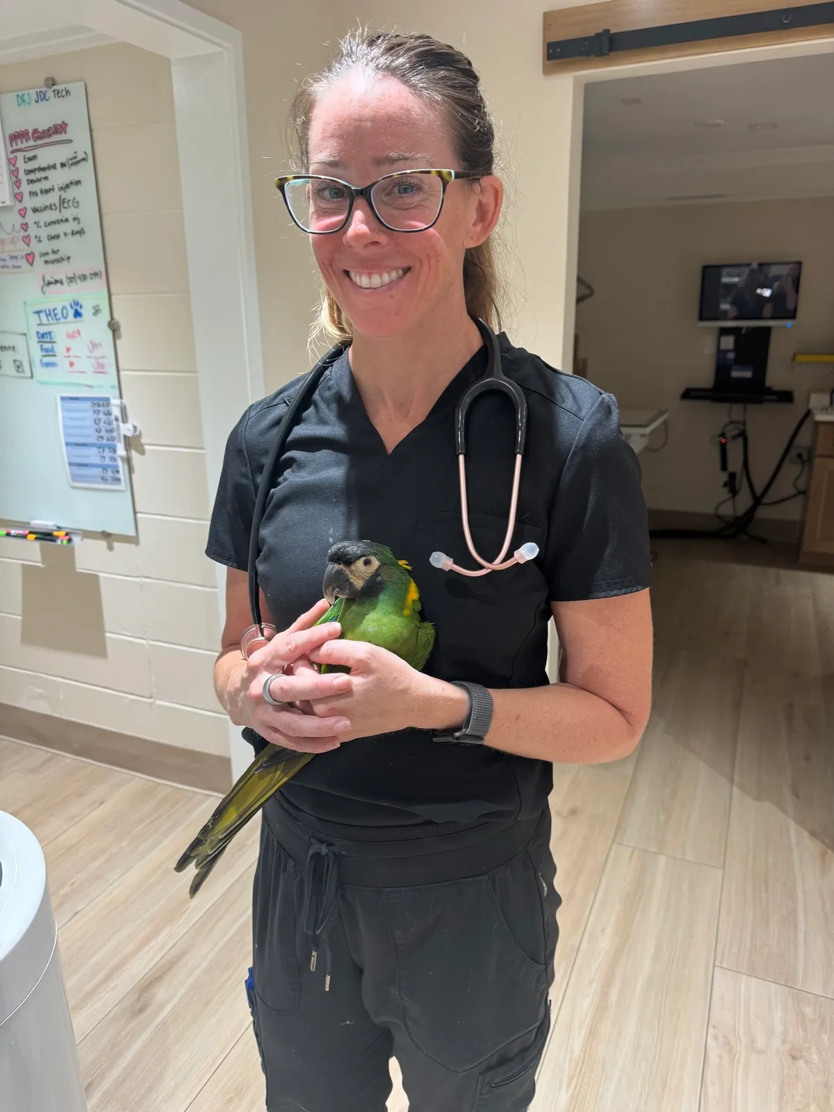 Skyway Animal Hospital staff providing compassionate care to a pet
