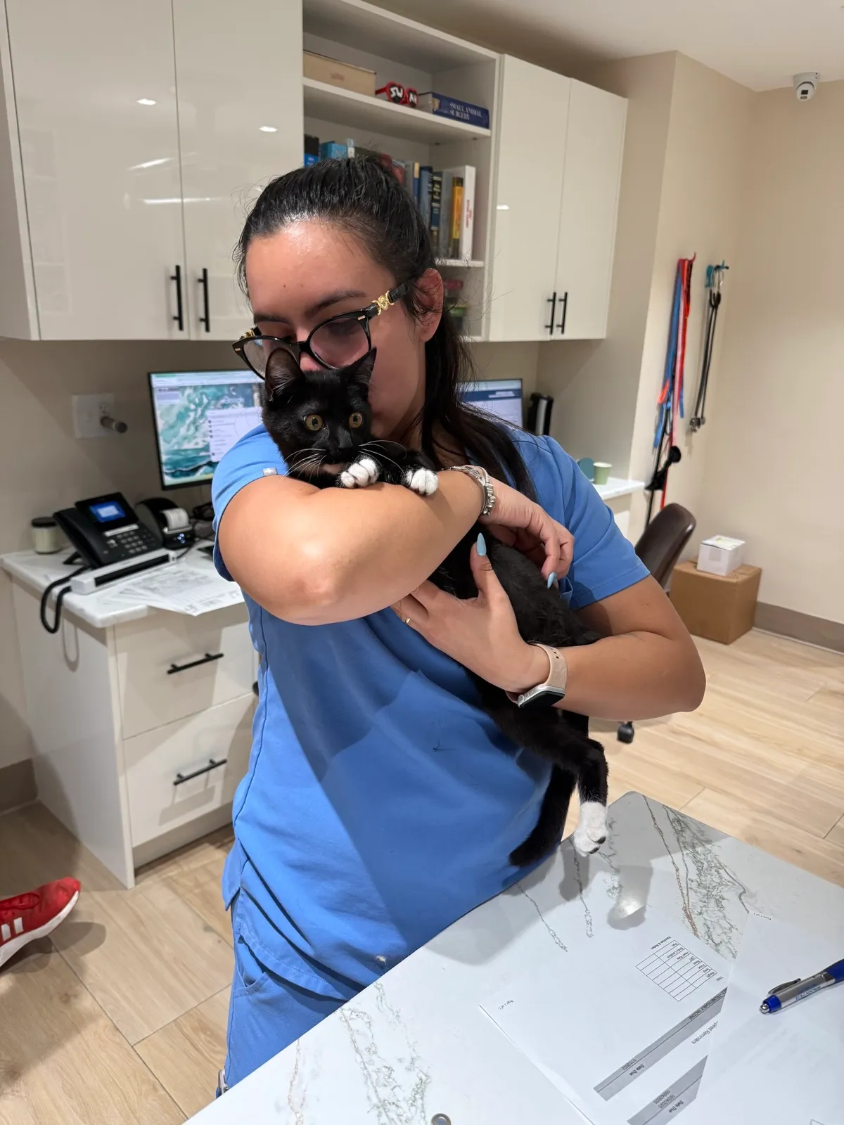 Team member caring for a cat