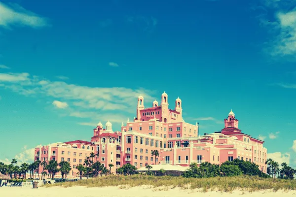 Exploring St. Pete with your pet