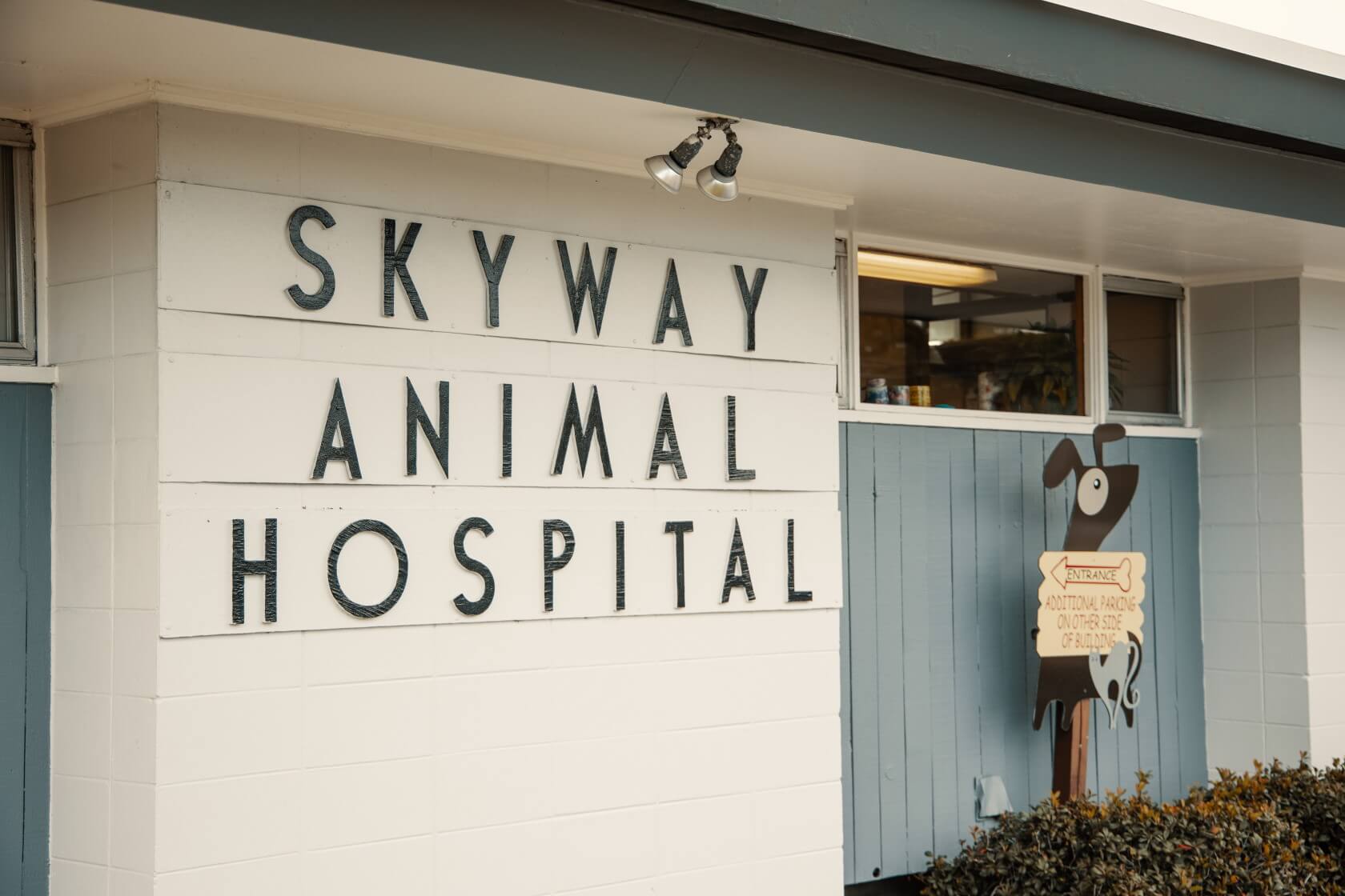 Skyway Animal Hospital Inc. | Animal Hospital in St. Petersburg, FL
